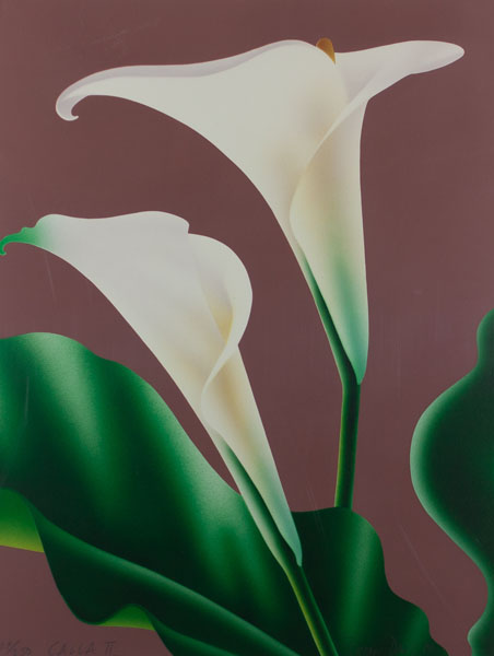 Calla II