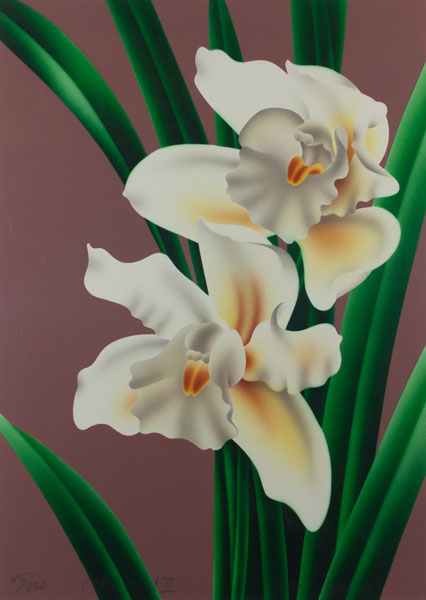 Cymbidium II