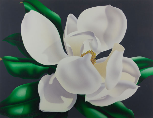 Magnolia III