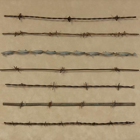 Antique Barbed Wire I