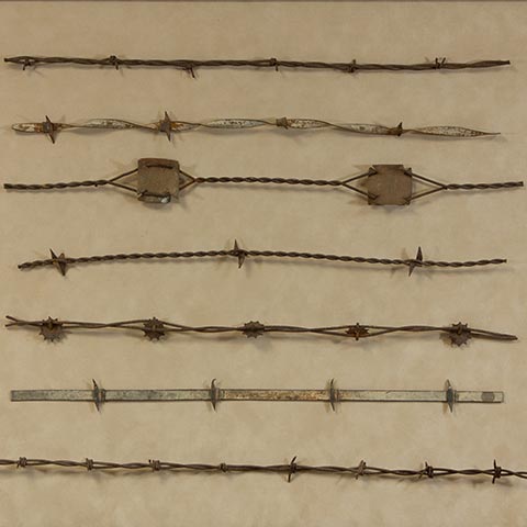 Antique Barbed Wire II