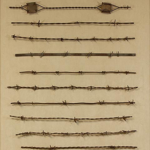 Antique Barbed Wire III