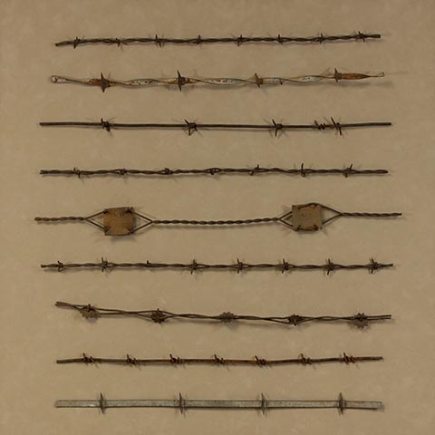Antique Barbed Wire IV