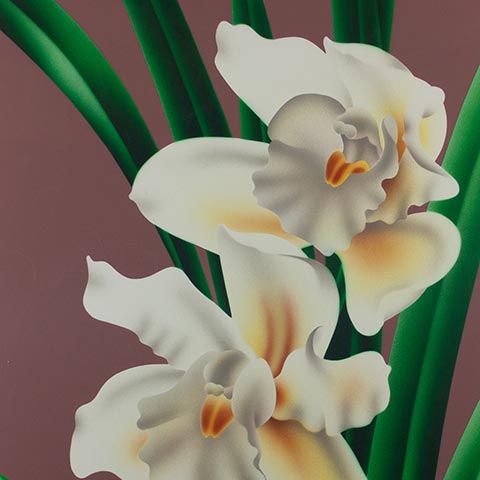 Cymbidium II