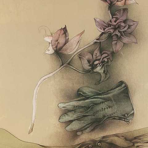 Natura Morta con Orehidea