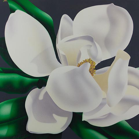 Magnolia III